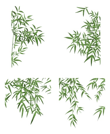 素材组合-通用手绘插画竹子植物边框